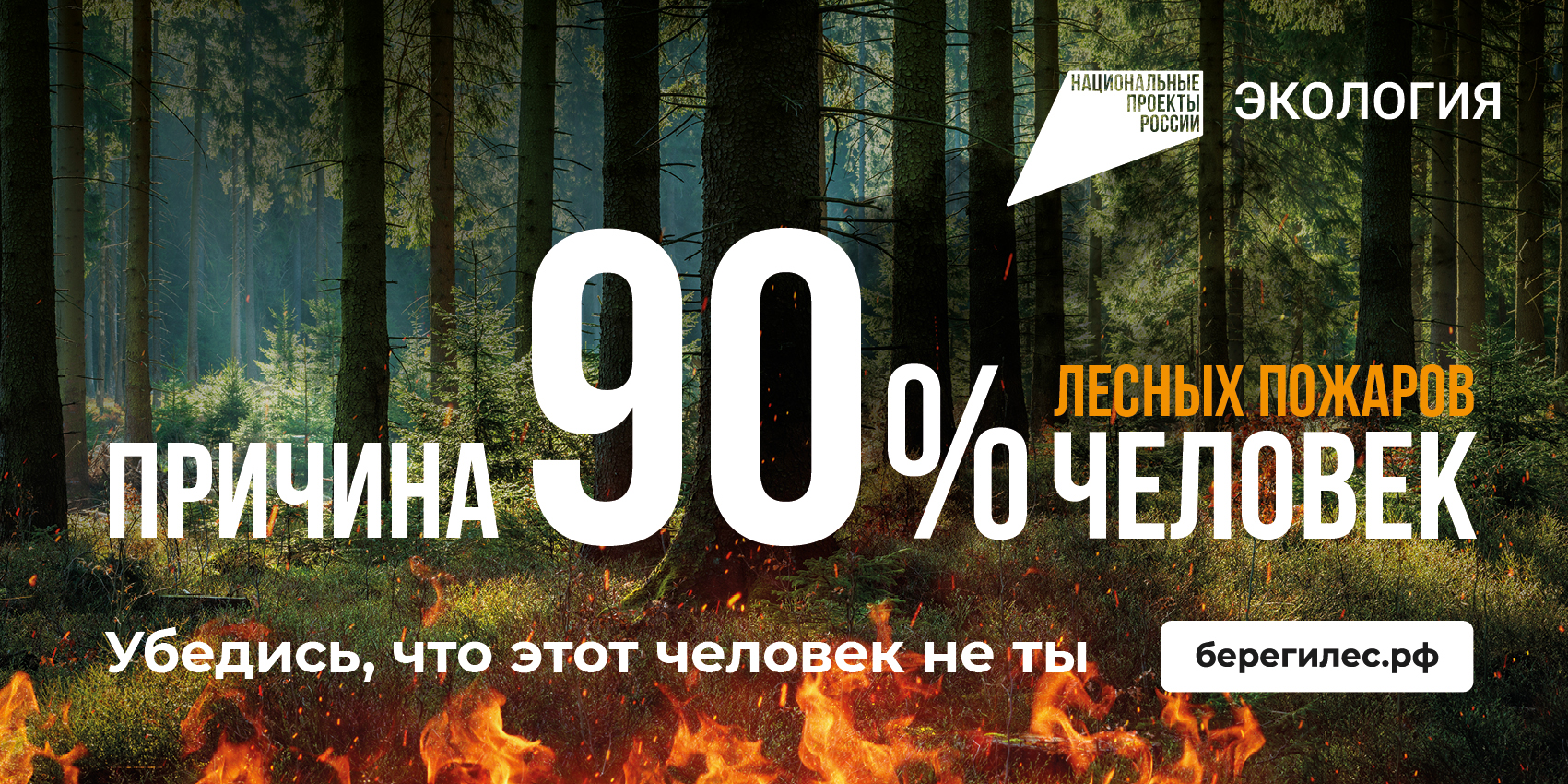 В 90 процентах причиной пожаров в лесу являются люди.
