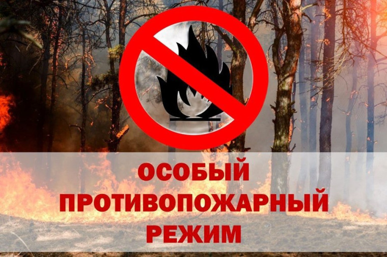 В Кировской области объявлен особый противопожарный режим. В Кировской области объявлен особый противопожарный режим.
